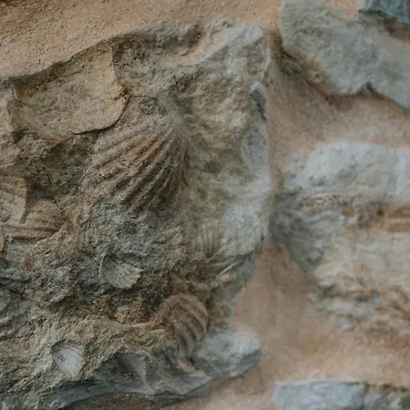 Casa - Il Gioiello - Con Jacuzzi E Sauna Amandola